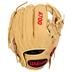 Baseball gloves and gear